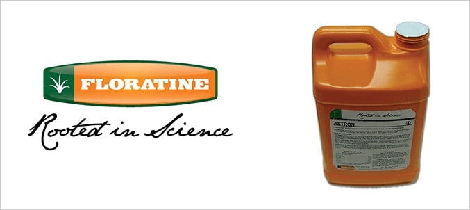 Floratine